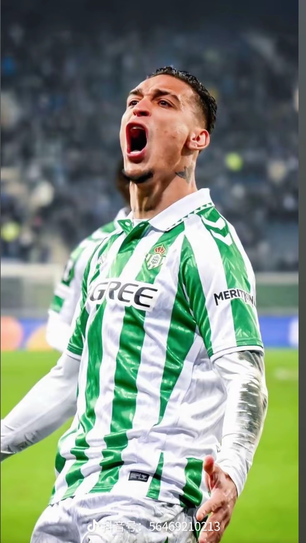 关于欧洲足坛巨星崭露头角,称霸之路似乎坚不可摧的信息 关于欧洲足坛巨星崭露头角,称霸之路似乎坚不可摧的信息