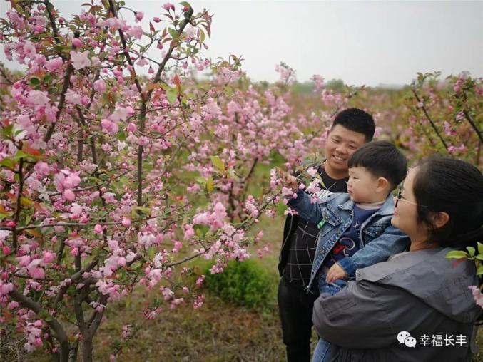 运动场上百花齐放成绩惊艳瞩目 运动场上百花齐放成绩惊艳瞩目